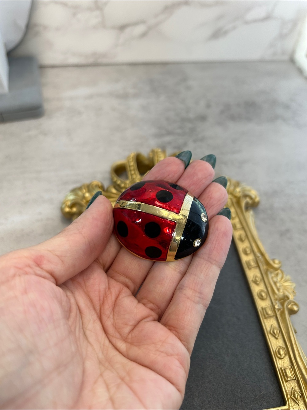 Decorative Oversized Ladybug Brooch - Red and Black